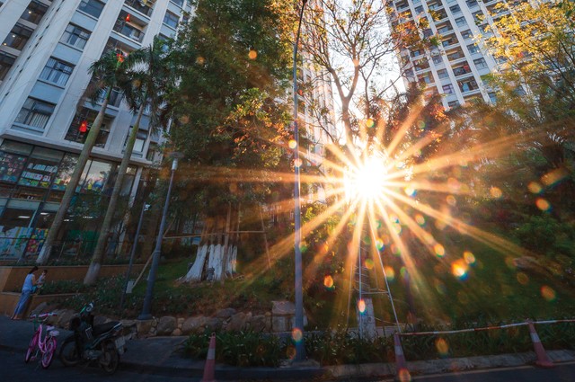 Việc chuyển từ phương pháp thu 2% trên tổng giá trị giao dịch sang thu 20% trên phần thu nhập thực tế trong 5 năm tới là phù hợp với bản chất của thuế thu nhập theo thông lệ quốc tế và phù hợp với sự phát triển chung của thị trường