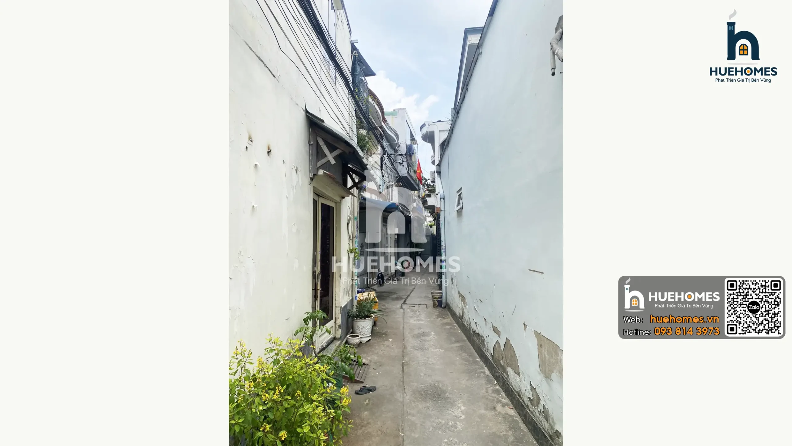 SG-Q9-NP-00003 (1)